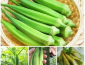 Chữa bệnh tiểu đường bằng đậu bắp là phương pháp trị bệnh tự nhiên khá an toàn giúp ổn định đường hu